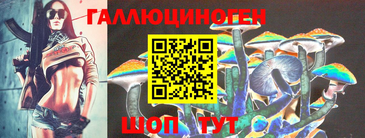 Псилоцибиновые грибы мухоморы Бор