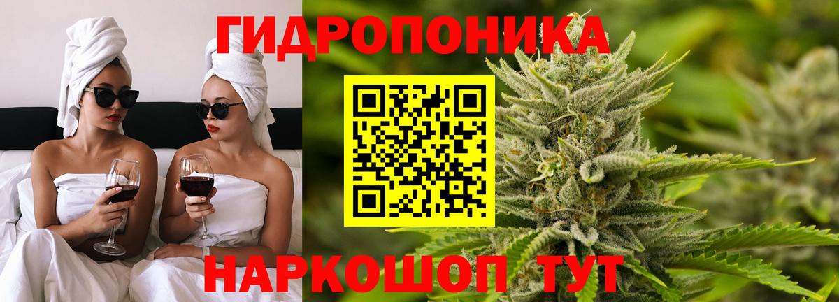 Бошки марихуана гибрид  Вход с VPN  Конопля Bruce Banner  Бор 